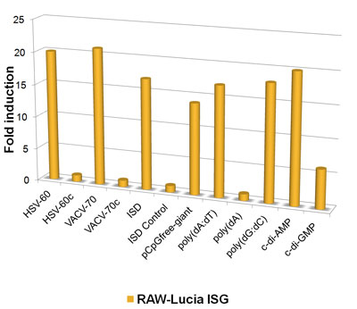 IRF response of RAW-Lucia™ ISG cells