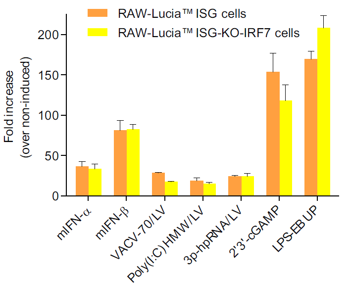Functional validation of IRF7 knockout