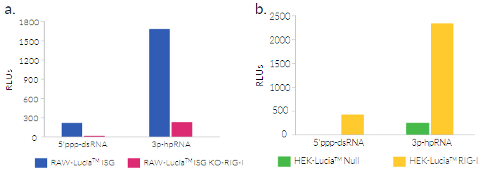 Cellular response to 3p-hpRNA and 5’ppp-dsRNA