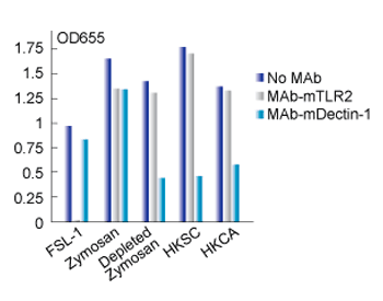Response of RAW-Blue™ cells to Dectin-1 and TLR2 agonists