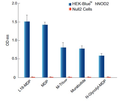 Response of HEK-Blue™ hNOD2 to NOD1/2 agonists