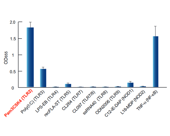 Response of HEK-Blue™ hTLR2 cells to TLR and NOD agonists