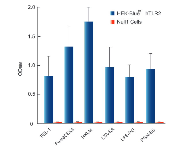 Response of HEK-Blue™ hTLR2 to TLR2 agonists