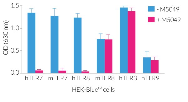 Specific inhibition of TLR7 and TLR8 signaling by M5049