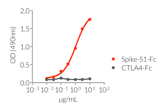 Recognition of Spike-S1-Fc by anAnti-SARS-CoV-Spike (CR3022) human IgM