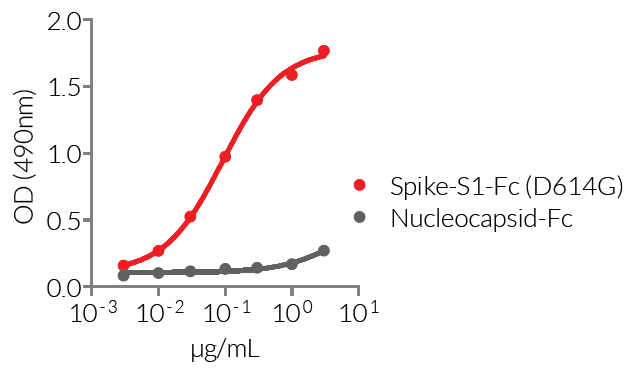 Recognition of Spike-S1-Fc (D614G) by an Anti-SARS-CoV-Spike (CR3022) human IgM