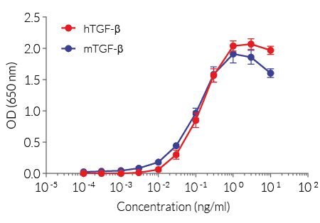 Cellular response to TGF-β