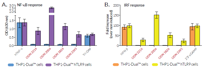 Validation of the NF-κB and IRF reporter systems in THP1-Dual™ hTLR9 cells