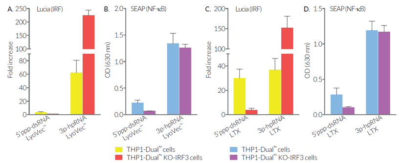 RNA-induced IRF and NF-κB responses in THP1-Dual™-derived cells