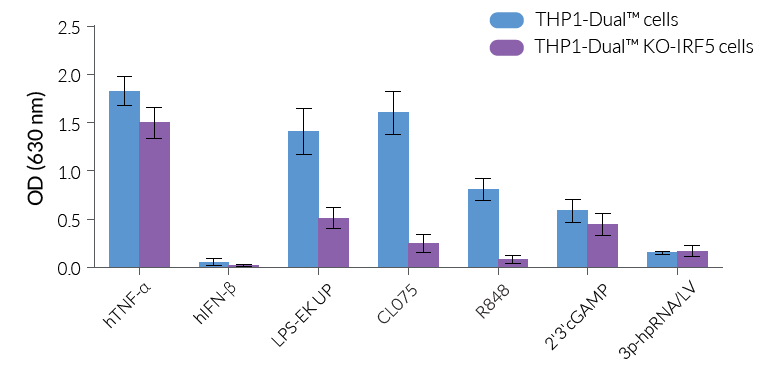 Functional validation of IRF5 knockout (NF-κB response)