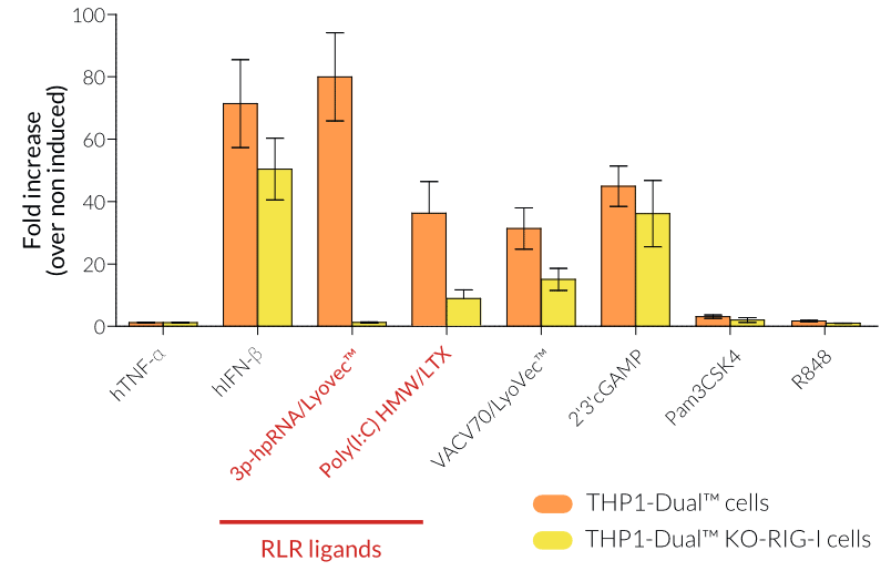 Functional validation of RIG-I knockout (IRF response)