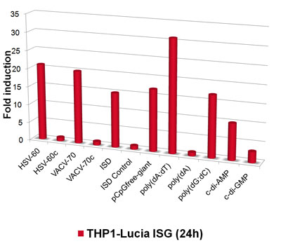 IRF response of THP1-Lucia™ ISG cells