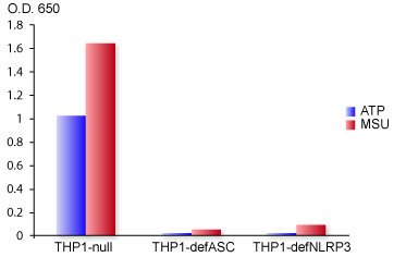 IL-1β production in THP1-null, THP1-defASC and THP1-defNLRP3 cells
