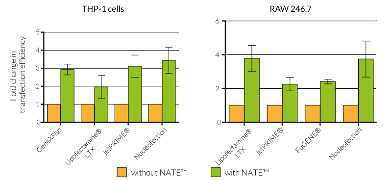 Greater transient transfection efficiency (folds)