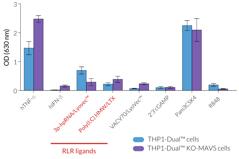 Functional validation of MAVS knockout (NF-κB response)