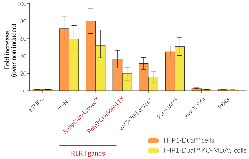 Functional validation of MDA5 knockout (IRF response)