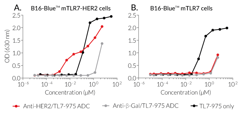 Biological activity of TL7-975 conjugated to Anti-HER2-hIgG1