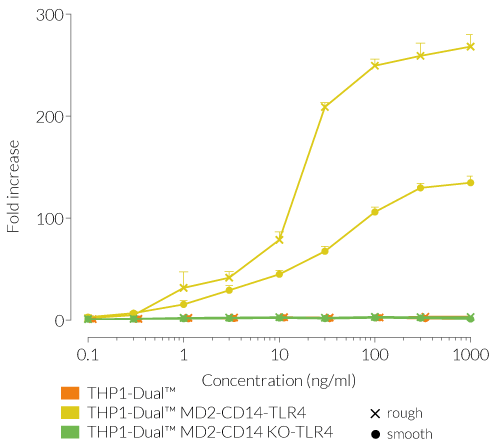 IRF responses after stimulation with rough or smooth LPS