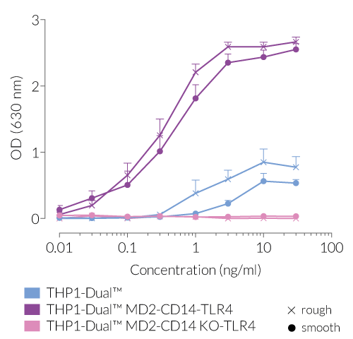 NF-κB responses after stimulation with rough or smooth LPS