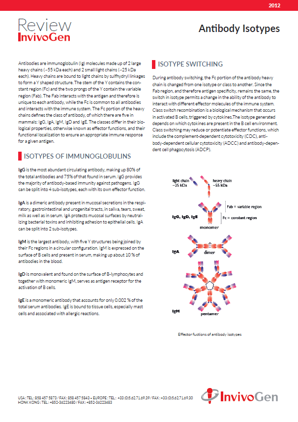 Review antibody isotypes