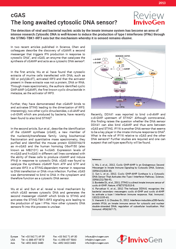 Review cGAS the long awaited cytosolic DNA sensor