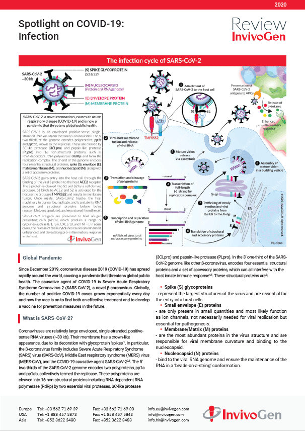 Review InvivoGen - Spotlight on COVID-19: Infection