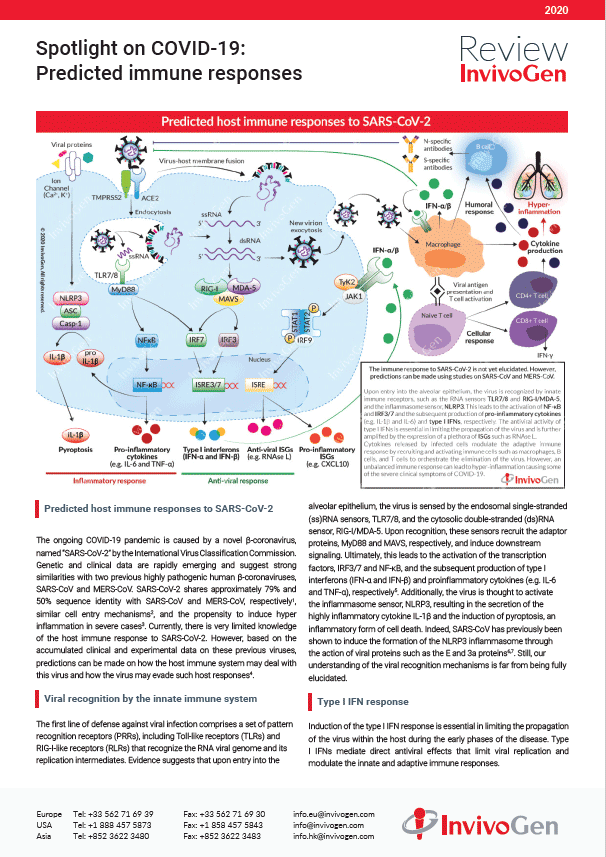 Review InvivoGen - Spotlight on COVID-19: Predicted immune responses
