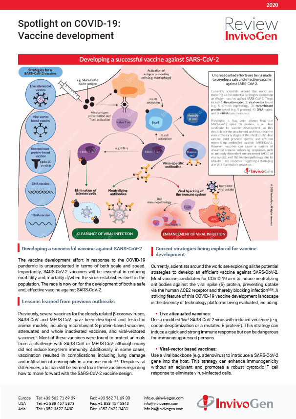 Review InvivoGen - Spotlight on COVID-19: Vaccine development