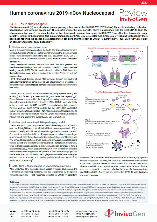 Review InvivoGen - Human coronavirus 2019-nCov Nucleocapsid