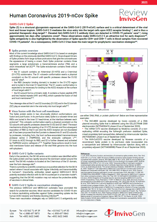 Review InvivoGen - Human Coronavirus 2019-nCov Spike