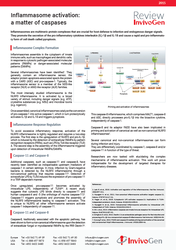 Review inflammasome activation
