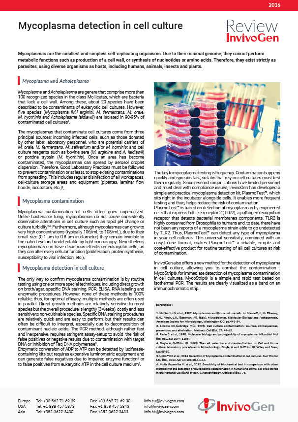 Review mycoplasma detection in cell culture