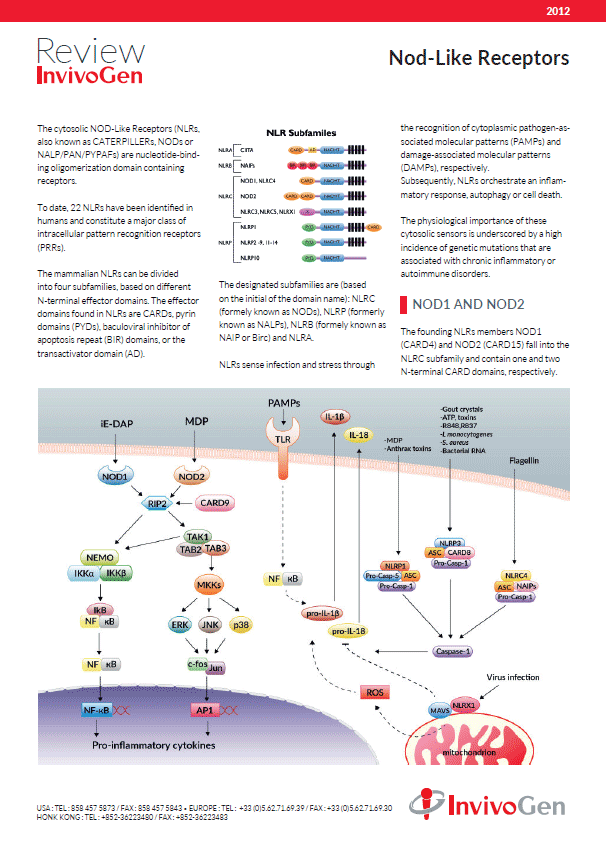 Review NOD-like receptors