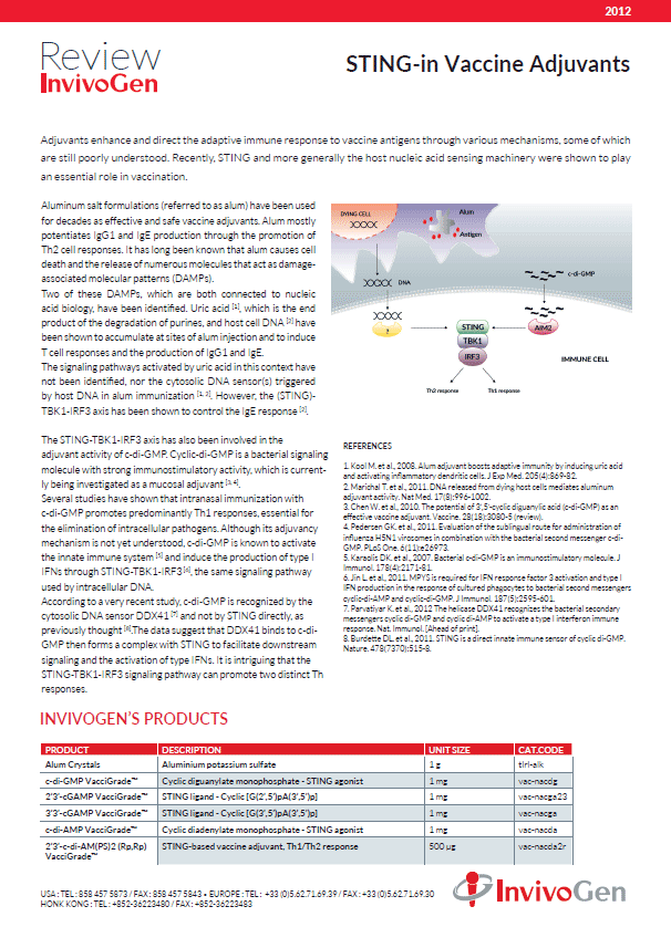 Review STING in vaccine adjuvants
