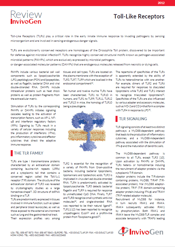 Review Toll-like receptors