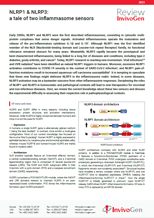 Review InvivoGen - NLRP1 & NLRP3: a tale of two inflammasome sensors
