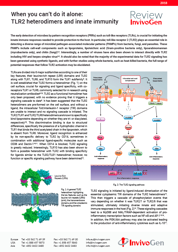 Review InvivoGen - TLR2 heterodimers and innate immunity