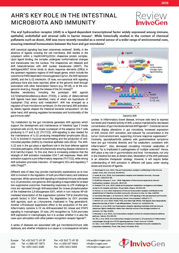 AhR's key role in the intestinal microbiota and immunity