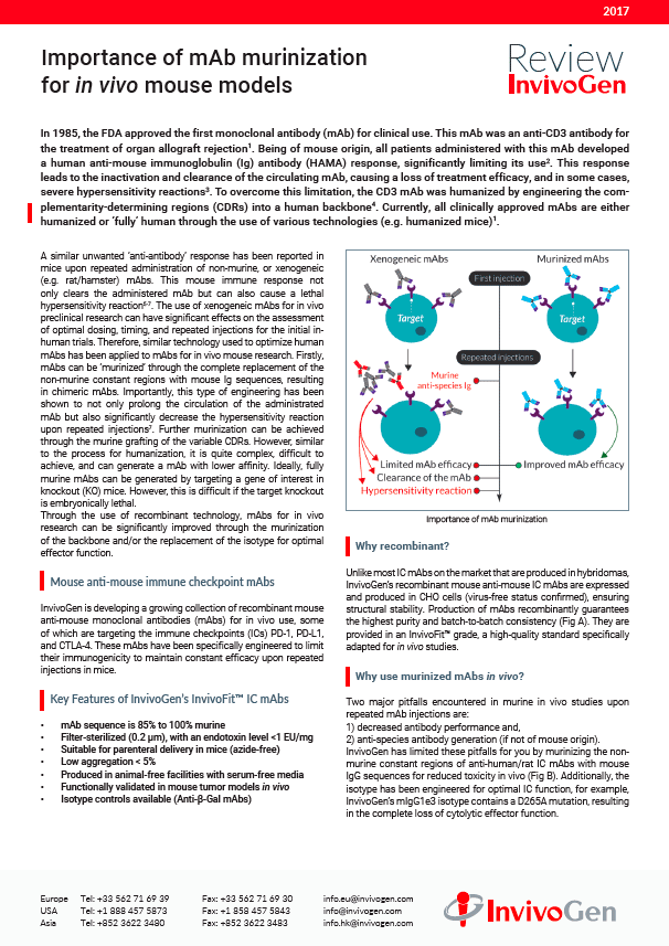 Review InvivoGen - Importance of mAb murinization for in vivo mouse models