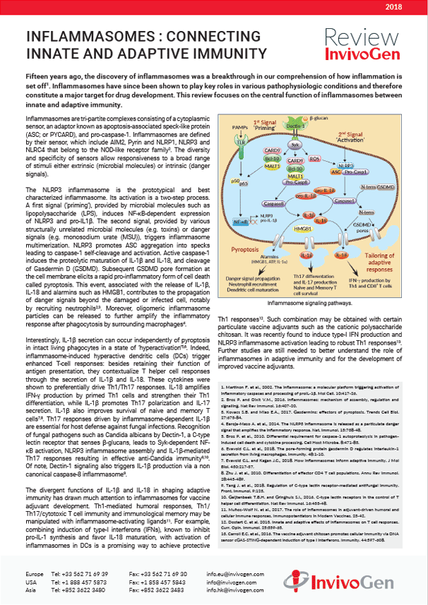 Inflammasomes : connecting innate and adaptive immunity
