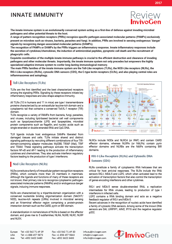Review on innate immunity