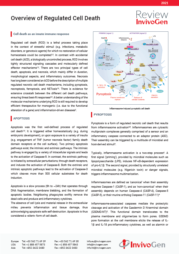Review: Overview of Regulated Cell Death
