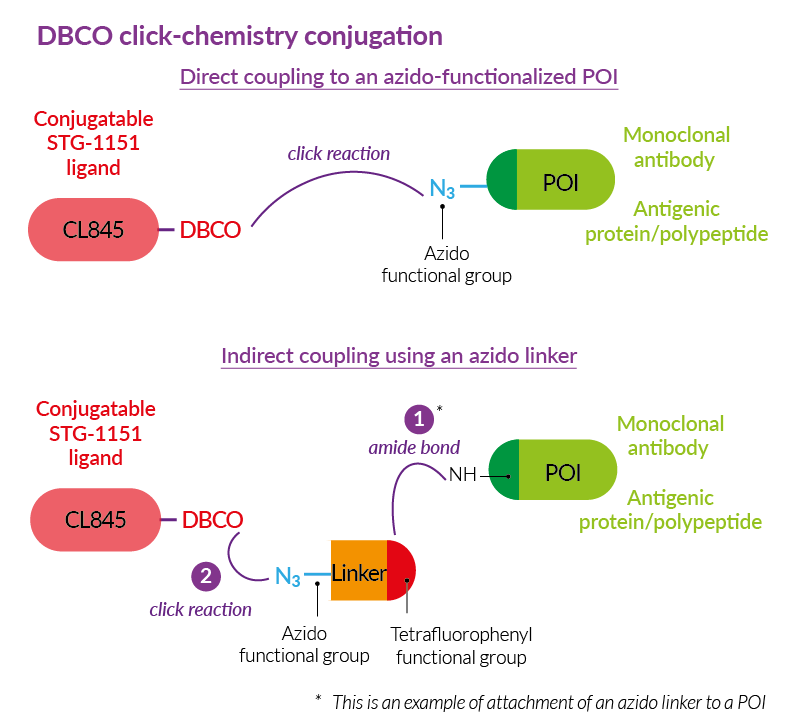 Bioconjugation using STG-1151