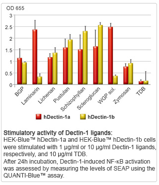 Stimulatory activity of Dectin-1 ligands