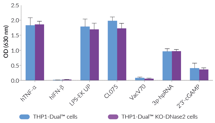 Functional validation of DNASE2 knockout (NF-κB response)