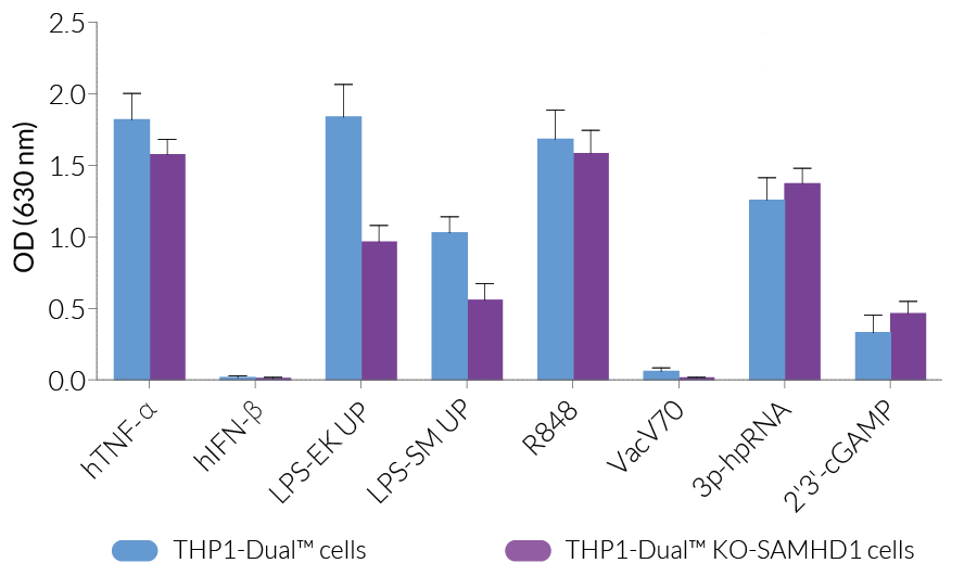 Functional validation of SAMHD1 knockout (NF-κB response)