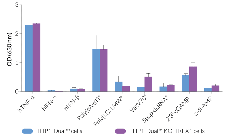 Functional validation of TREX1 knockout (NF-κB response)