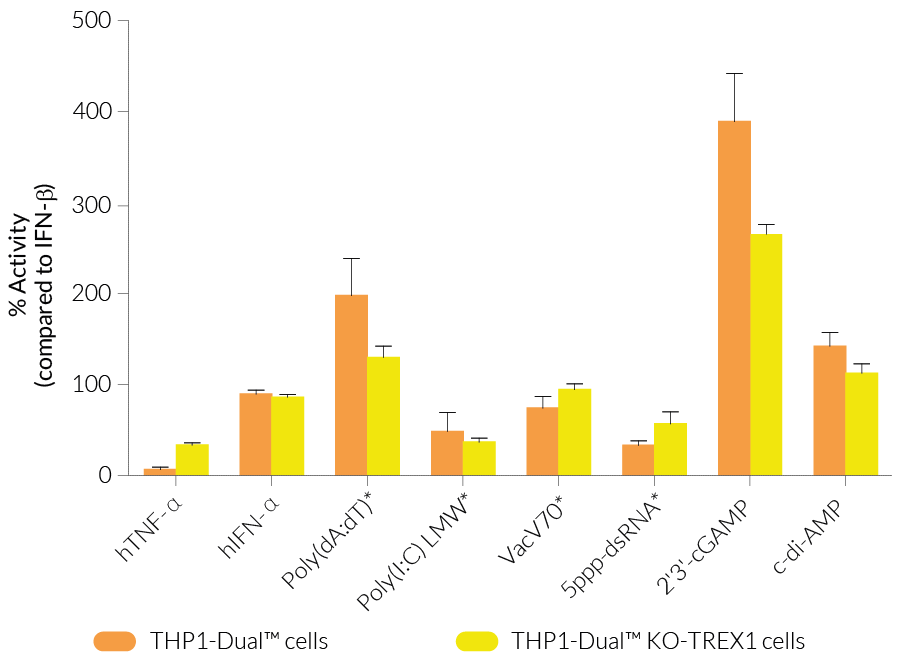 Functional validation of TREX1 knockout (IRF response)