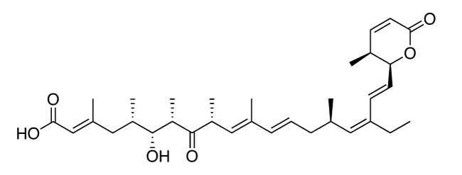 Leptomycin B chemical structure