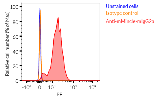 Binding of Anti-mMincle-mIgG2a to mouse Mincle